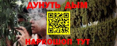 шишки Заводоуковск