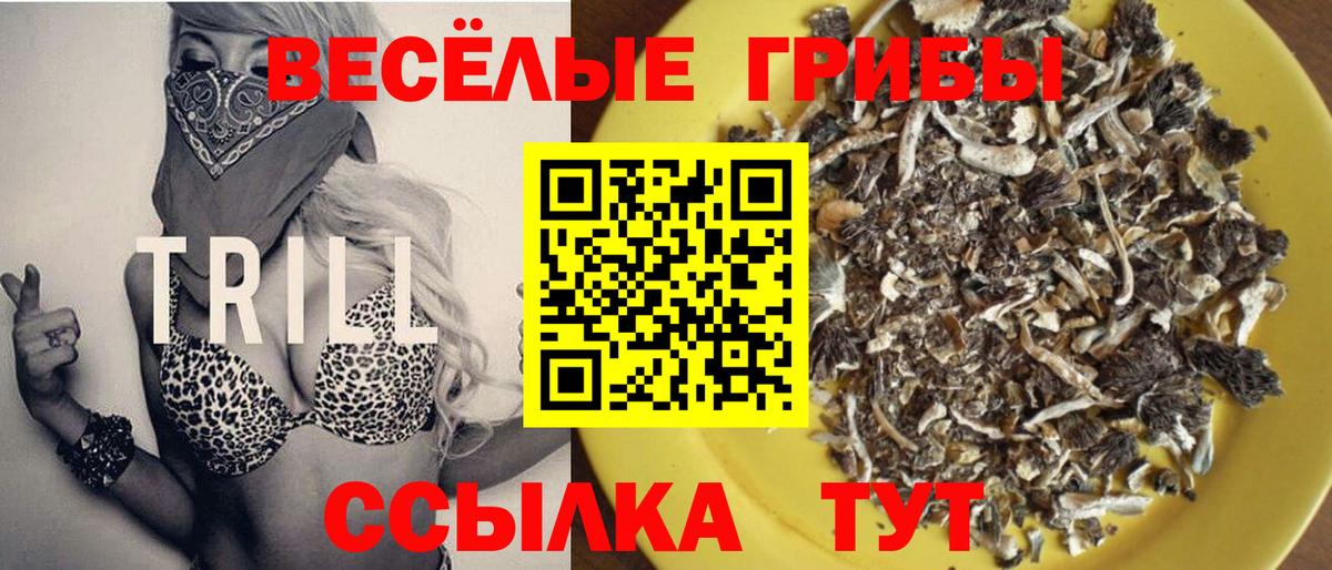 Псилоцибиновые грибы Magic Shrooms Малоярославец