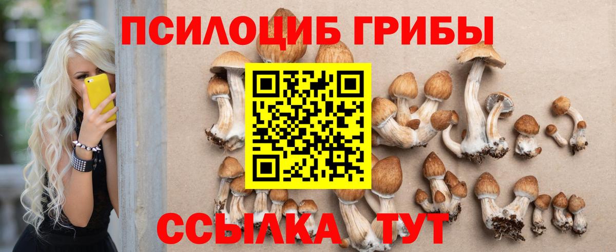 Псилоцибиновые грибы Psilocybine cubensis  Вход с VPN  Псилоцибиновые грибы ЛСД  Малоярославец 